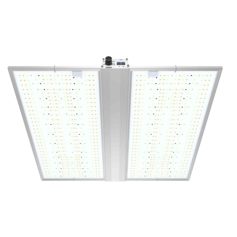 LED BOARD QUANTUM 480W